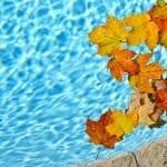 fall pool maintenance