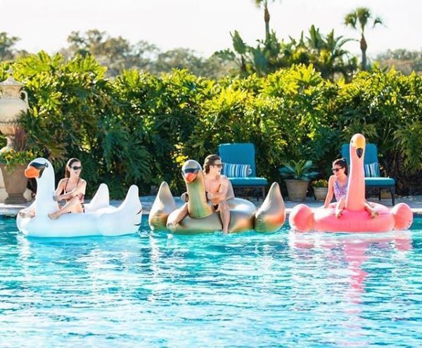 swimming pool